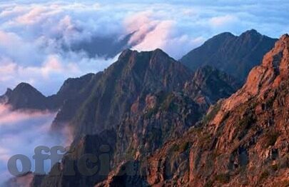博雅德州扑克受害者-博雅德州扑克，一场意外之旅的受害者