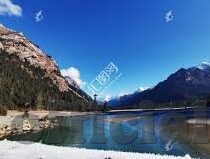 正版森林舞会下载地址-正版森林舞会下载指南，安全、便捷地享受游戏乐趣